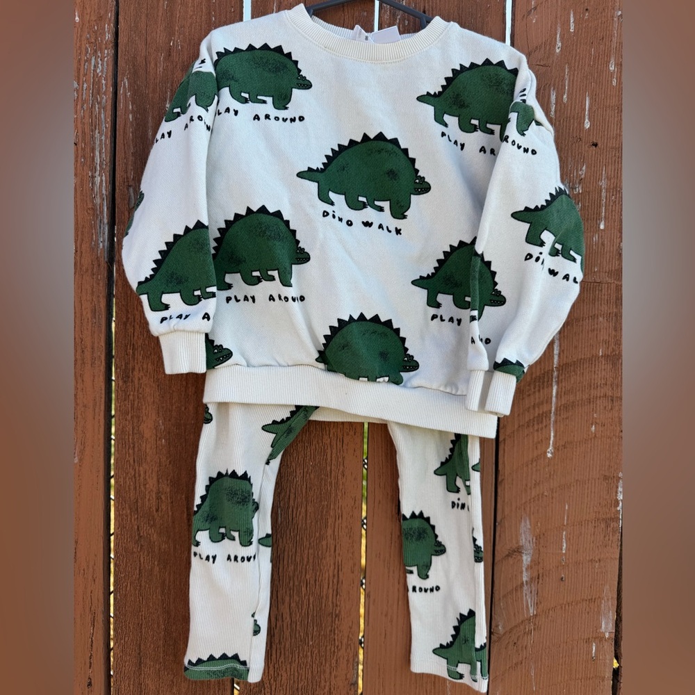 Zara Dinosaur Sweatshirt and Pants Set